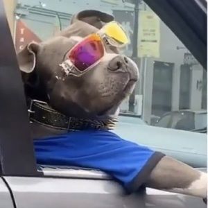 Meet your Posher, Braden